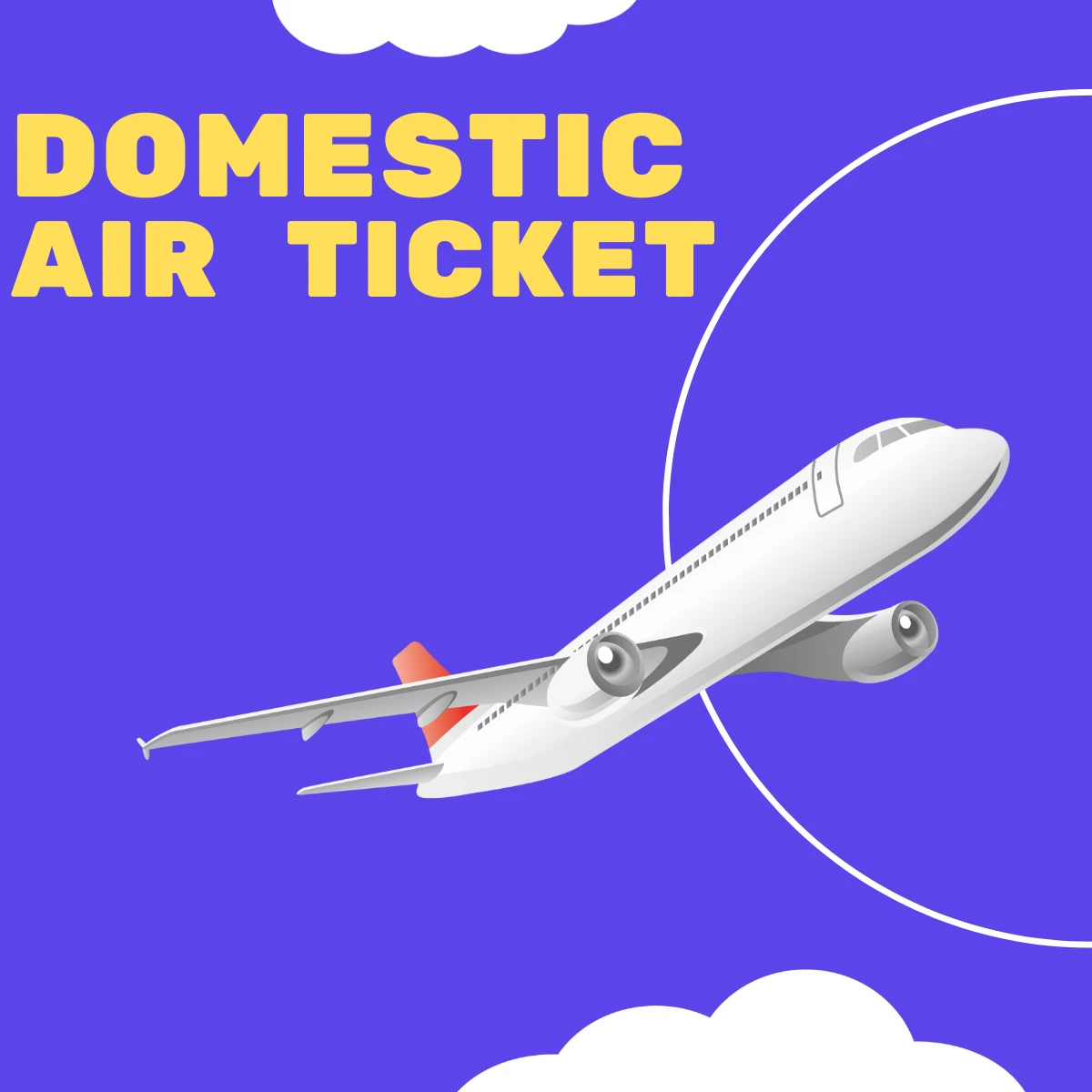 DOMESTIC AIR TICKET